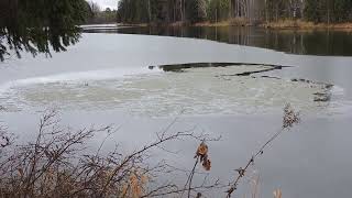 Осень в Уральском лесу