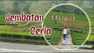 Saat penuh keceriaan ketika kami menapaki JEMBATAN CERIA | wisata alternatif | WISATA BREBES