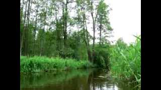 The Blizna River 2010 (Yotvingian Forest)