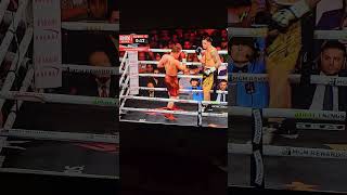 CANELO BERLANGA ROUND 4 #box #canelo