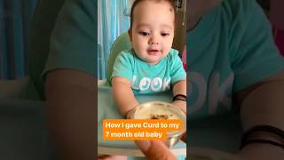 Curd for Babies #shorts #viral #shortvideo #ytshorts