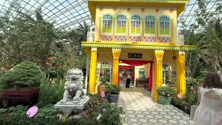 SINGAPORE:Precious Peony at Flower Dome