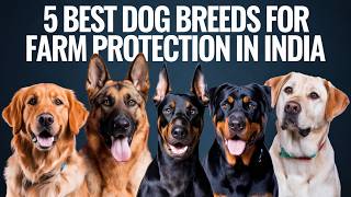 Top 5 Dog Breeds for Farm Protection in India 2024 | Petsinfomania