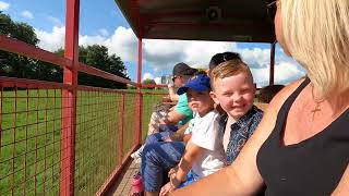 Mackenzie and Solomon Visit Lakeland Maize Farm Park 🐷🐖🐑