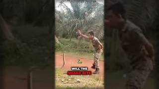 THIS MAN TRIED CATCHING A DEADLY SNAKE!😱| #shorts #snake