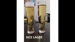 Brewing a Commerical Rice Lager Recipe with 40% Rice and Tasting it Next to the Original.