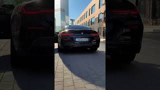 Выхлоп BMW 8 Series