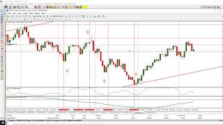 Harmonic Equidistant Lines for Timing Changes in Trend