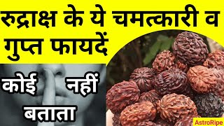 Rudraksha ke fayade, रुद्राक्ष के फायदे, Rudraksha ke gun, Profits of Rudraksha,