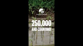 200,000 Trees Planted!