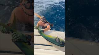 Textbook Mahi-Mahi Speardiving 😂🤟 #shorts #youtube #fyp #spearfish #mahimahi #mexico