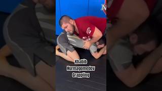 Khabib Nurmagomedov Mauls Training Partner