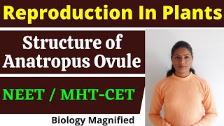 Structure of Anatropous Ovule | Reproduction in Plants | NEET | MHTCET 2021 & Board exams | Biology