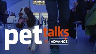 Case Study Pet Talks by Advanced -  Arena Media y Affinity Petcare