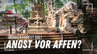 AFFEN AUSSER RAND UND BAND | Monkey Forest Ubud  | Teil 3 Bali Reise #bali #ubud #monkeyforest