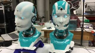 Alan robot heads testing