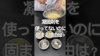 【あなたはどっち派？】固めプリン🍮 と とろけるプリン🍮？どっちが好き？#プリン