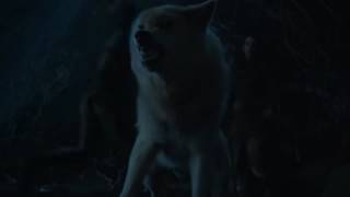 Game of Thrones S06E05 -  Bran's direwolf Summer dies