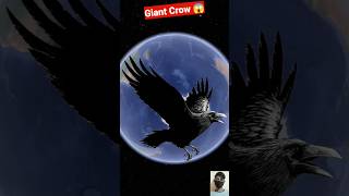 Giant Crow On Google Earth 😱 #shorts #youtubeshorts #shortsfeed #googleearth #map