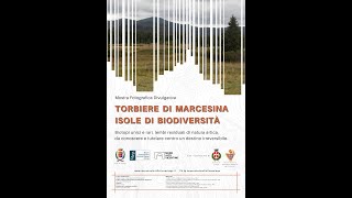 Presentazione Mostra Temporanea "Torbiere di Marcesina, Isole di Biodiversità"