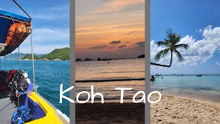 Vlog 28 - Backpacking Thailand Pt. II // Tauchschein in Koh Tao