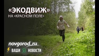 Эко движ в Великом Новгороде