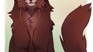 Звездоцап эдит// Tigerstar edit