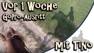 1 Woche her - GoPro Ausritt mit Tino