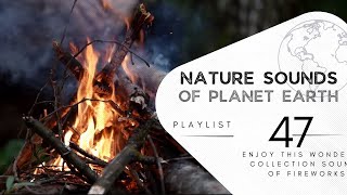 2 hours of pleasant natural sounds - rain in the forest.