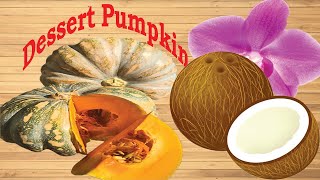 How To Make Delicious Pumpkin Dessert | Pumpkin dessert is Rich in Vitamins to Support Health