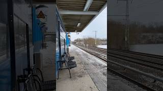 S-Bahn Berlin - Der Bahnhof Bernau-Friedenstal