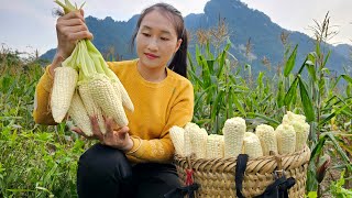 Harvest sticky corn bring it to the market to sell - How to make a Wooden Pigeon Cage | Ly Thi Tam