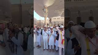 Madinah ki Hazri #madinah #umrah #prophetmuhammad #masjidnabawi