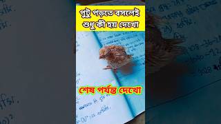 পুটু পড়তে বসলেই শুধু কী হয় শেষ পর্যন্ত দেখো😂দারুন মজার ভিডিও#viralvideo#funny#shorts#comedy#follow