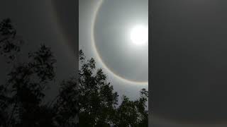 Solar Eclipse Today in Up #solar #solareclipse #shortsviral #kitchenwithshahreen #shortsfeed