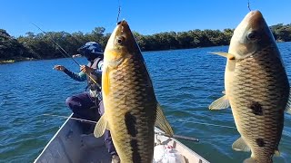 Pescaria incrivel, a isca bateu na água os piaus brutos atacaram, pescaria raiz. #pescaria #fishing