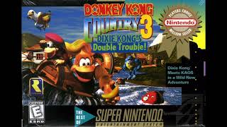 Donkey Kong Country 3:Dixie Kong’s Double Trouble! Bonus Time Remastered