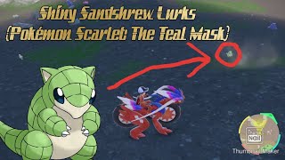 The Green Mouse Walks (Pokémon Scarlet: The Teal Mask)