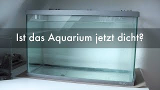 Ist das Aquarium vom Sperrmüll jetzt dicht? | Is the aquarium leakproof now?