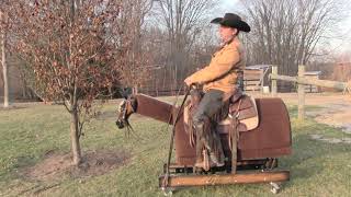 Proper Riding Alignment - Steve Lantvit Horseman's Minute with the Equicizer