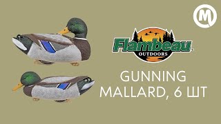 Подсадная утка кряква Flambeau Gunning Mallard комплект 6шт. Обзор