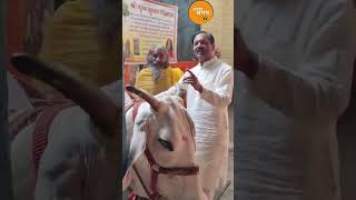 श्री गिरिराज जी की पूजा गौ माता की पूजा का महत्व डॉ नरेश शर्मा