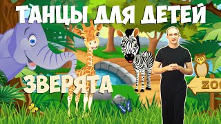 Танец Зверята | Танцы для детей 3-7 лет | Танцуем дома | DariDance