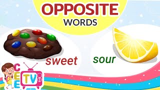 Opposite Words | Antonyms | English Vocabulary Words for  Toddler Preschool and Kindergarten Kids