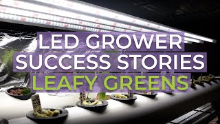 Active Grow T5 LED Grow Light Success Stories: Leafy Greens