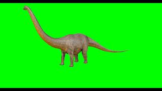 #Футаж динозавр с длинной шеей ◄4K•HD► #Footage long neck dinosaur