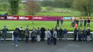 Samcro hoses up in a Beginners chase at Down Royal 2019