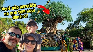 DISNEY ANIMAL KINGDOM: ASSISTA ANTES DE IR!