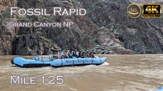 Fossil Rapid - Mile 125 - Grand Canyon NP - Colorado River - V360