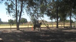 Lauren and Flee cantering